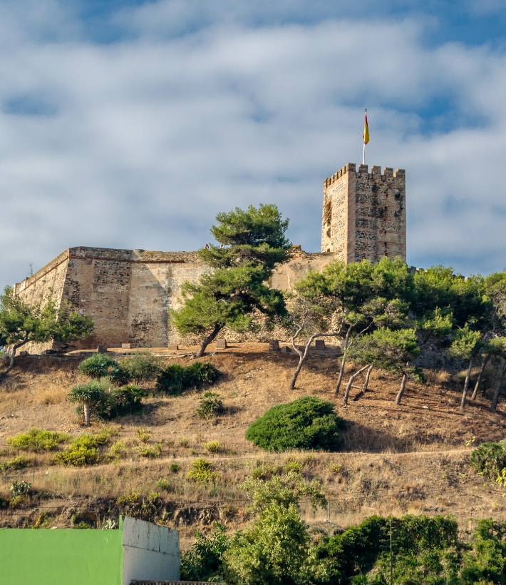 Imagen exterior del castillo y sus alrededores