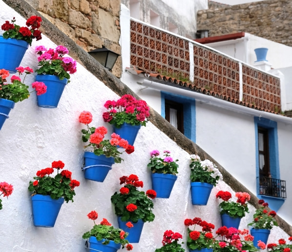 Wall decorated with pots of colourful flowers
